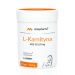mitopharma L-KARNITYNA MSE 333.33 mg (90 szt.)