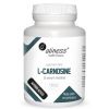Aliness L-CARNOSINE 500 mg (β-alanyl-L-histidine)