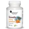 Aliness BOSWELLIA 350 mg