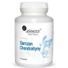 Aliness SIARCZAN CHONDROITYNY 600 mg