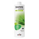 Itely Hairfashion SHAMPOO PROFESSIONAL ALOE VERA Szampon nawilżający do włosów suchych i normalnych (1000 ml) - Itely Hairfashion SHAMPOO PROFESSIONAL ALOE VERA - shampoo-1000-aloe.jpg